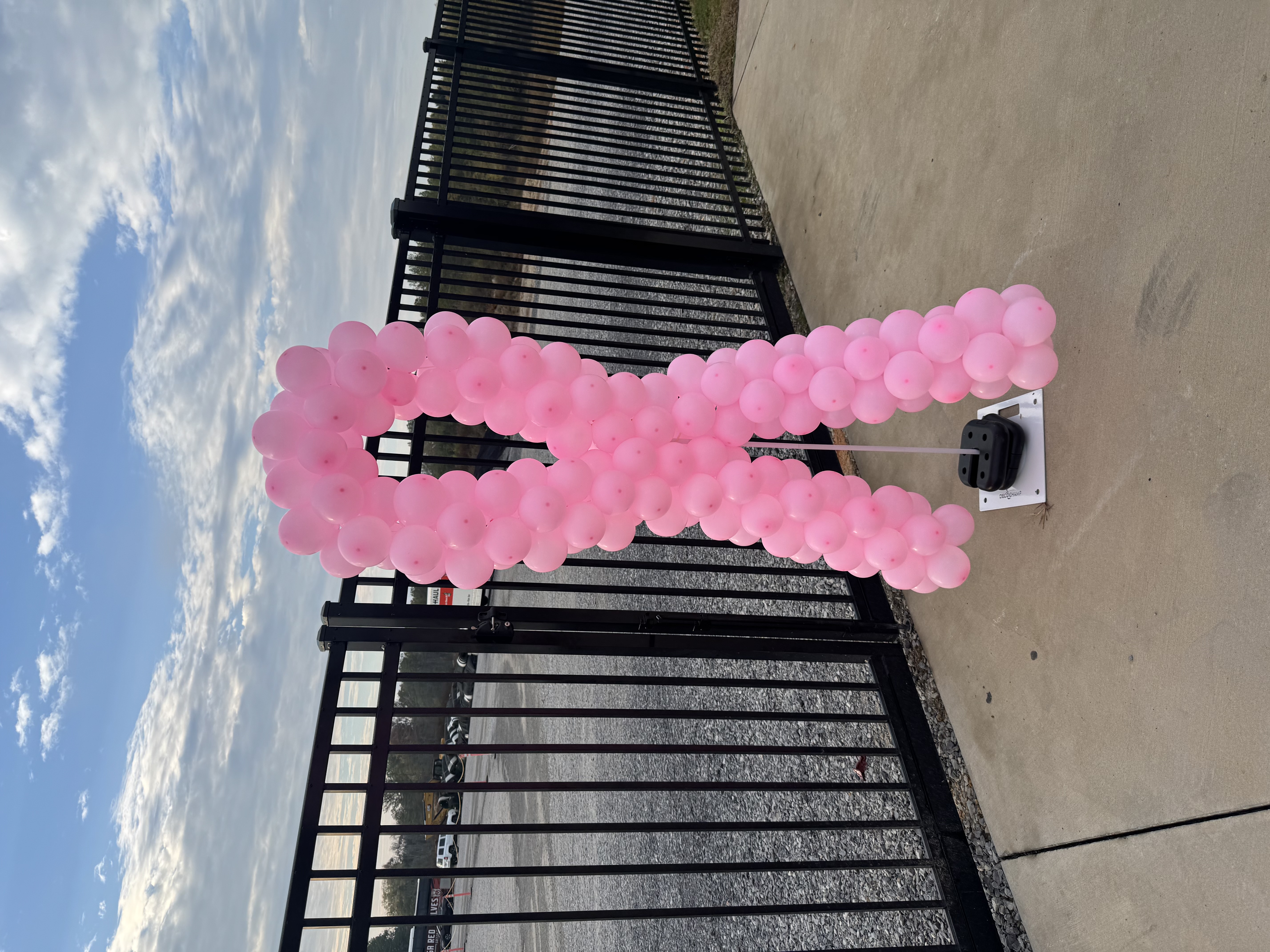 Pink balloon sculpture